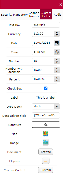 Custom Fields - Edit Mode