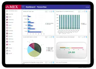 MEX Dashboard on Ipad Air